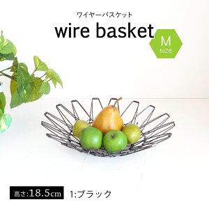 XeXoXPbg  S[h C[oXPbg [ M ] [ ݂ k ؍ CeA G P[X u t[c  _ rO Lb`  ^   ubN V