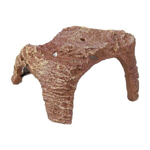 y󂠂izWFbNX ^[gACh JC J̓ ߂̎ b GEX OȂ