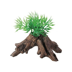 yAEgbgizWFbNX i`VF^[V[Y S 10.5×7.5×8.5cm ANZT[ GEX @ CAEg ANAE 