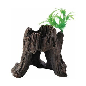 yAEgbgizWFbNX i`VF^[V[Y 芔L 12.0×10.0×13.5cm CAEg CeA GEX