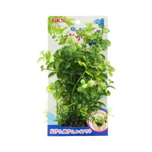 yAEgbgizWFbNX i LoRp Ϗ܋pANZT[   lH  GEX pbP[Wjꂠ