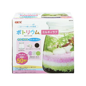 y󂠂iz WFbNX {gE ~LBu X^[^[Lbg GEX H ċx R Lbg Zbg Oɉ⃄P̃_[WL