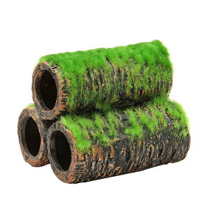 yAEgbgizWFbNX Șa̒ y M pi Ϗ܋pi GEX  ʓhL