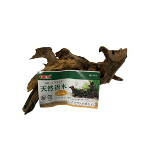 yAEgbgizWFbNX ANAe VR ~j pi ӏ܋p GEX OtB̔ꂠ