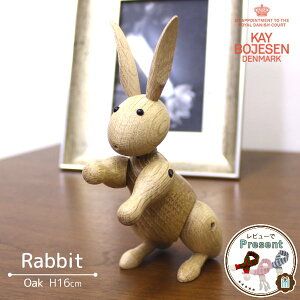 JCE{CX f}[N ETM k ؐ IuWF  CeA G u  rbg u v[g Mtg NX}X  I[N KAY BOJESEN DENMARK ؐߋ tBM