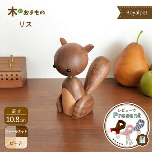 ؐIuWF [ X ] Cybg 肷 EH[ibg r[` k CeA G  u l` l Royalpet Squirrel v_Ng v[g Mtg RNV  