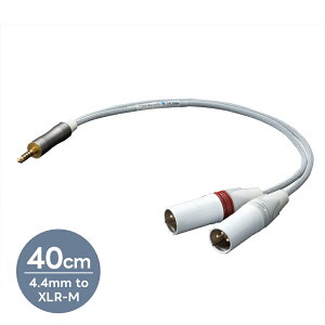 TOP WING - White Barrel II 4.4mm to XLR-M/40cmi4.4mm-XLRIX×2ϊEoXP[uE1{jy[J[iE[͊mFゲAz