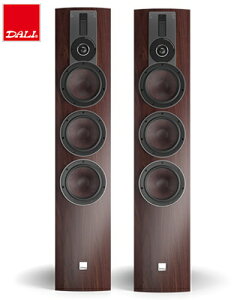 yVi݌Ɍ@[\zyzDALI@RUBICON8MAyA̔i_@rR8MA@}[@MAROONXs[J[