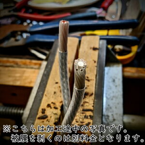 QED@Signature Genesis Silver Spirali1mj@Xs[J[P[u(1mPʂŐ؂蔄\łj@y16cz