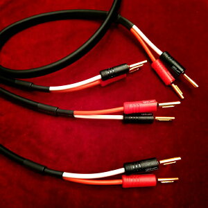 �y�V���O�����C�������i/4.0m�y�A�zLUXMAN�@JPS-100 + AIRLOC ABS 4mm�o�i�i8�{�@�X�s�[�J�[�P�[�u��