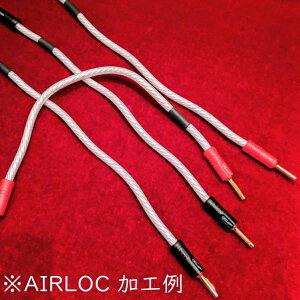 yVOCi/2.5myAzQED@Signature Genesis Silver Spiral + AIRLOC ABS 4mmoii8{@Xs[J[P[u