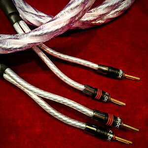 yVOCi/2.5myAzQED@Signature Genesis Silver Spiral + AIRLOC METAL 4mmoii8{@Xs[J[P[u