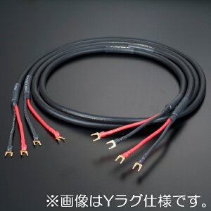 �y�[�����F�[������zAET�@EVO-1302S SP/2.5mx2�{/B-B�i�o�i�i-�o�i�i�j�@�X�s�[�J�[�P�[�u��