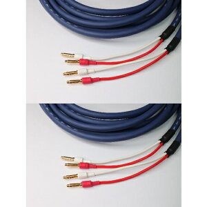 TIGLON@MS-DR20SP-AD-2.5/2.5m/BB [oii[qdli2{1gj Azure Dragon Xs[J[P[u