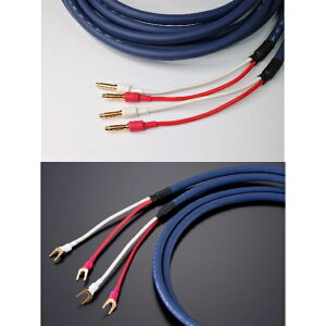 TIGLON@MS-DR20SP-AD-3.5/3.5m/BY Avoii/SPY[qdli2{1gj Azure Dragon Xs[J[P[u