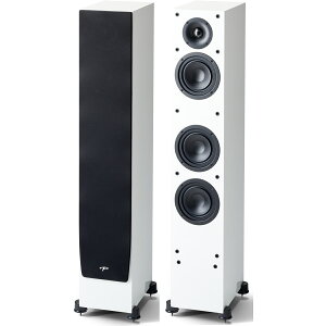 PARADIGM�@MONITOR SE 3000F/GW�i�O���X�z���C�g�E2�{1�g�j�@�X�s�[�J�[�@�p���_�C���@PDN