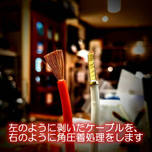 SAEC@SPC-350i3.0mx2{E[ρEQED AIRLOCppdグE8ӏj@Xs[J[P[u[ςݏi@TGN