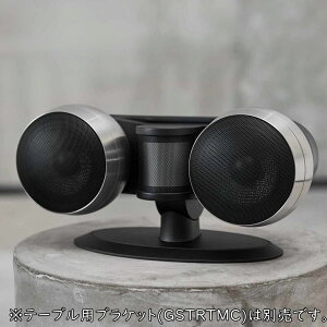 �y�[�����F�[������zGALLO ACOUSTICS�@GSTRC�i�Z���^�[�p�E1�{�E�X�e�����X�j�@�X�s�[�J�[�@�M�����A�R�[�X�e�B�b�N�X�@STRADA2