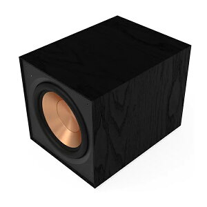 KLIPSCH@R-101SW@TuE[t@[@R101SW@NvV