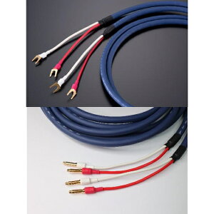 TIGLON@MS-DR20SP-AD-3.5/3.5m/YB AvY/SPoii[qdli2{1gj Azure Dragon Xs[J[P[u