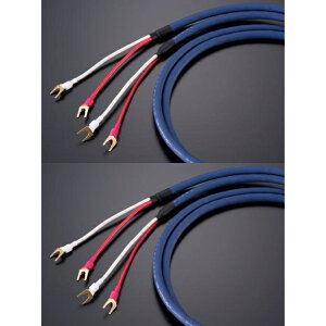 TIGLON@MS-DR20SP-AD-2.5/2.5m/YY [Y[qdli2{1gj Azure Dragon Xs[J[P[u