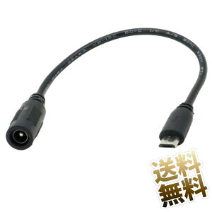 USBP[u dP[u 20cm USB-DC\Pbg A_v^[P[u DC (5.5mm 2.1mm) [q microB IX [q dp ubN