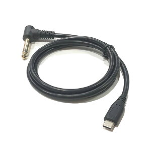 Type-c IX - I[fBI[q 6.35 mm 2 IX L I ϊP[u ICt S1m