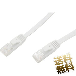 LAN�P�[�u�� Cat6 �M�K�r�b�g�Ή� �t���b�g�^�C�v �z���C�g 1.0m