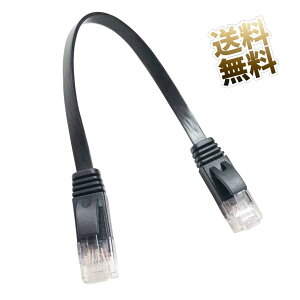 LANP[u Z 20cm Cat6 MKrbgΉ tbg^Cv ubN 0.2m