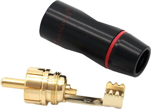 PAILICCS(pCbNX) RCAvObL Rԕ\L L\L