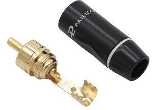 PAILICCS(pCbNX) RCAvObL Rԕ\L L\L