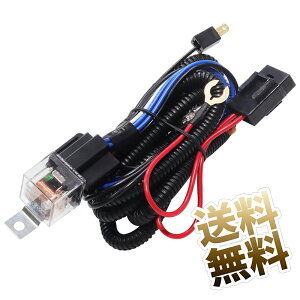 �ԗp �z�[���n�[�l�X 12V �z�[�� �q���[�Y���C�������O�n�[�l�X�����[�L�b�g �J�[�z�[�� �d�q�z�[�� �����p �ϔM����ҕ���n�[�l�X �S��174cm