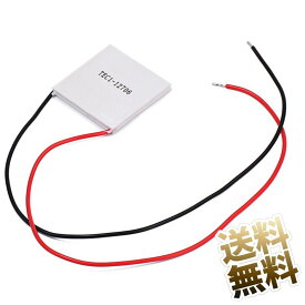 ペルチェ素子 12V 4.5A 無音 無振動 手軽 熱交換素子 熱電変換素子 熱電冷却 モジュール 40x40mm TEC1-12706 放熱器は別途ご用意ください