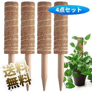 RRXeBbN 4{Zbg 30cm Xe |x Ax ϗtx Xex RRibcp[XeBbN RRibcx ϗtA ی A S | fUC 