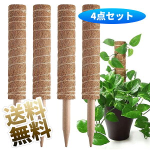 RRXeBbN 4{Zbg 40cm Xe |x Ax ϗtx Xex RRibcp[XeBbN RRibcx ϗtA ی A S | fUC 