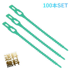 AŒp oh 100{ JԂg 13cm O[