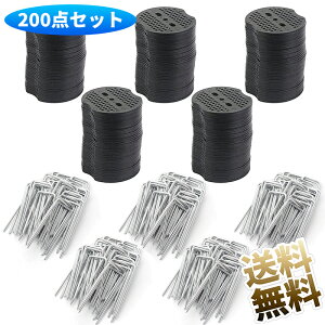 y200Zbgz UsY ەt 10cm 4mm hV[g V[g lH  ~߃s s ߋ Us ۃbV[ Œs |pi ƒ؉ _Ǝ Gh