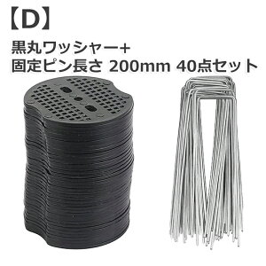 y40_z hV[g V[g lH  ~߃s s ߋ Us ۃbV[ Œs |pi ƒ؉ _Ǝ Gh~