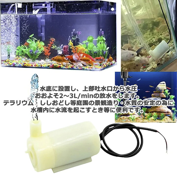 楽天市場】USB 水中ポンプ 2点セット 1mホース付き 水槽 熱帯魚 金魚 