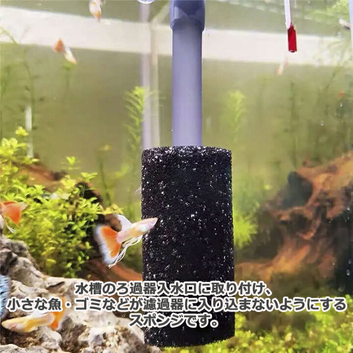 楽天市場】ストレーナー スポンジ 5点セット 水槽 ろ過器 【サイズをお 