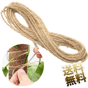 |pЂ 10m |p Ђ  [v R [v [v | _|   DIY 10m