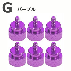 【楽天ランキング1位】【6個入り】 PCケース 電源向け ハンドルネジ つまみねじ スクリュー アルミニウム M3×6mm コンピュータケース用 【ブラック シルバー レッド スカイブルー エメラルド