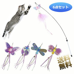 y6_Zbgz ƕt L炵 L Ĥ t H ˂  X  pt ƃTCY80cm