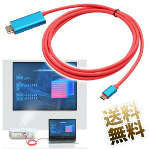 Switch �h�b�N Switch�����P�[�u�� HDMI �h�b�N�Ȃ� �~�j�h�b�N TV���[�h PD�}���[�d ���@�\ �R���p�N�g ���L���݊��� Switch Switch OLED �p�\�R�� �^�u���b�g �X�}�z �Ή� 204cm ���b�h���u���[