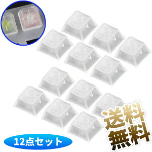 y12z ABSL[Lbv JjJL[{[h L[Lbv }bg obNCgL[Lbv  1.8×1.8×1.0cm