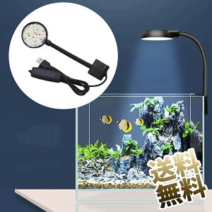  NbvCg Ɩ^Cg NbvCg 28v 3i?ł 10Kǐ 6W 360px߉\ ^EyʁEPx GlM[  琬 Ɩ Ch