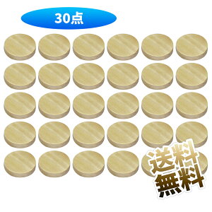 y30z ؕ ؐXCX VR  ی` | fR[V Bep 蕨 |ޗ DIY H|i a30mm*5mm