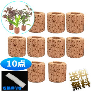 y10z   AŒ胊O pO[|bg  ̑ d Œ O n  _J