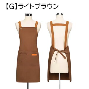 Gv ɂ Vh~ jp H^ | Vv Y fC[X JtF n  m[AC |Pbgt pGv XJ[g74cm*XJ[g67cm R3cm