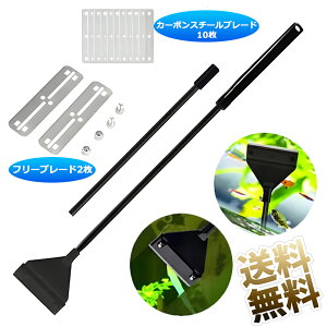 p XN[p[ vCU[ |c[ N[i[ RP ۃXN[p[| |pi S62cm n64mm t[u[h2 J[{X`[u[h10